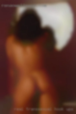 real transsexual hook ups